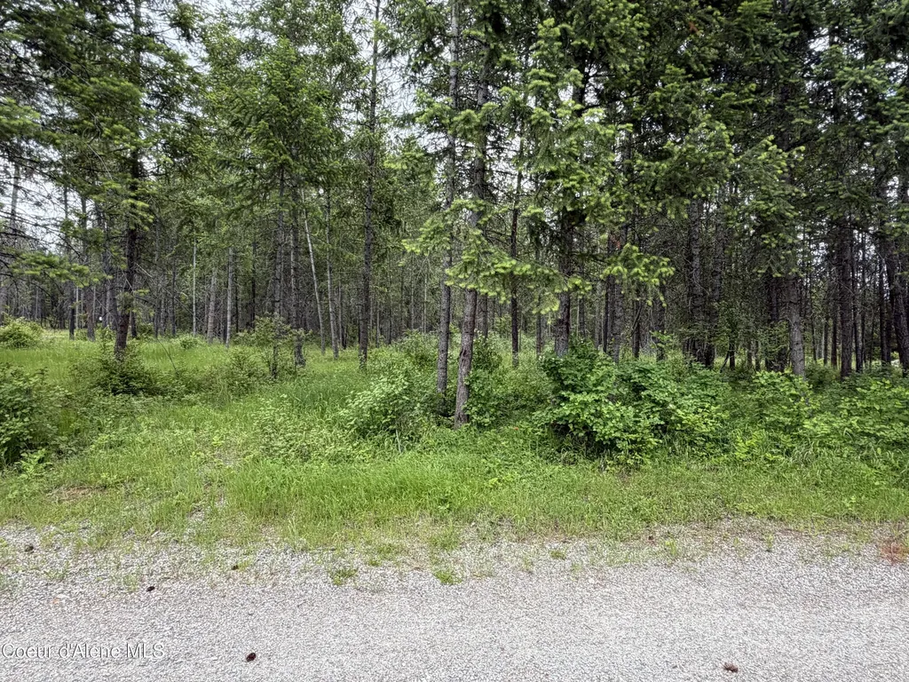12572 E Parks Road Athol ID 83801