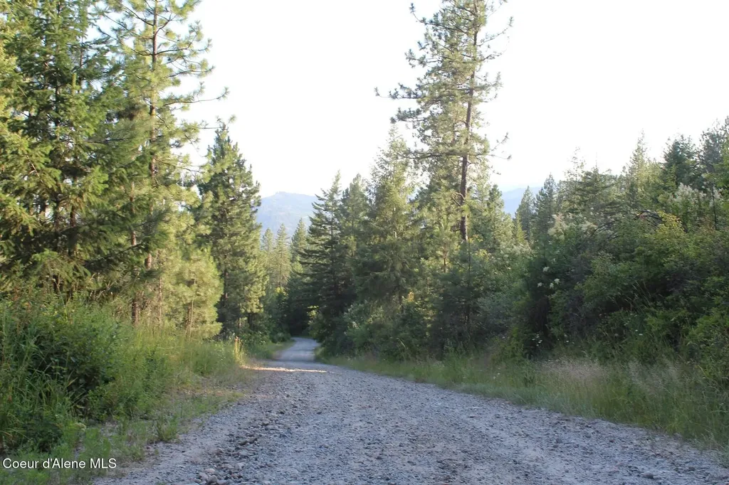 788 Gold Cup Mountain Road Priest River ID 83856