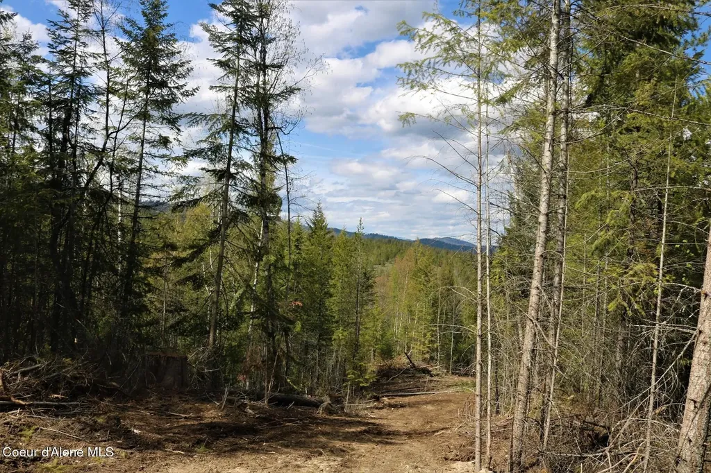 500 Outlook Drive Cocolalla ID 83813