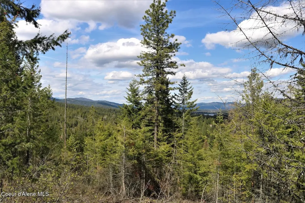 500 Outlook Drive Cocolalla ID 83813