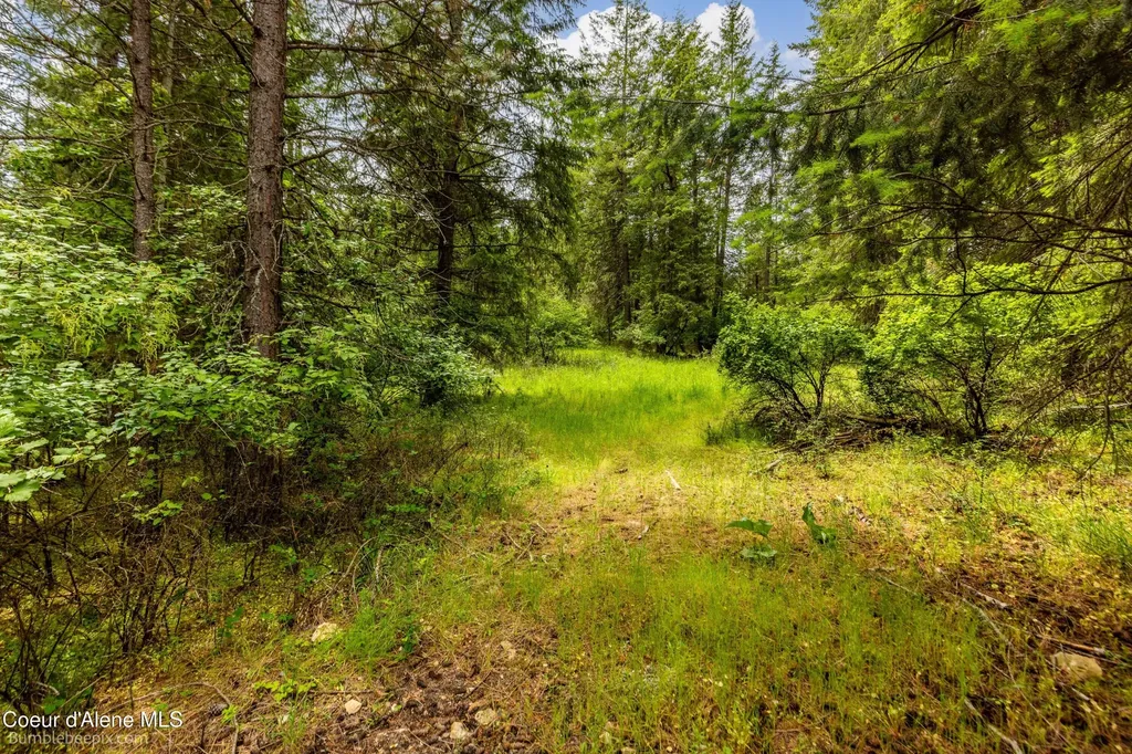 10324 N Payment Peak Road Hauser ID 83854