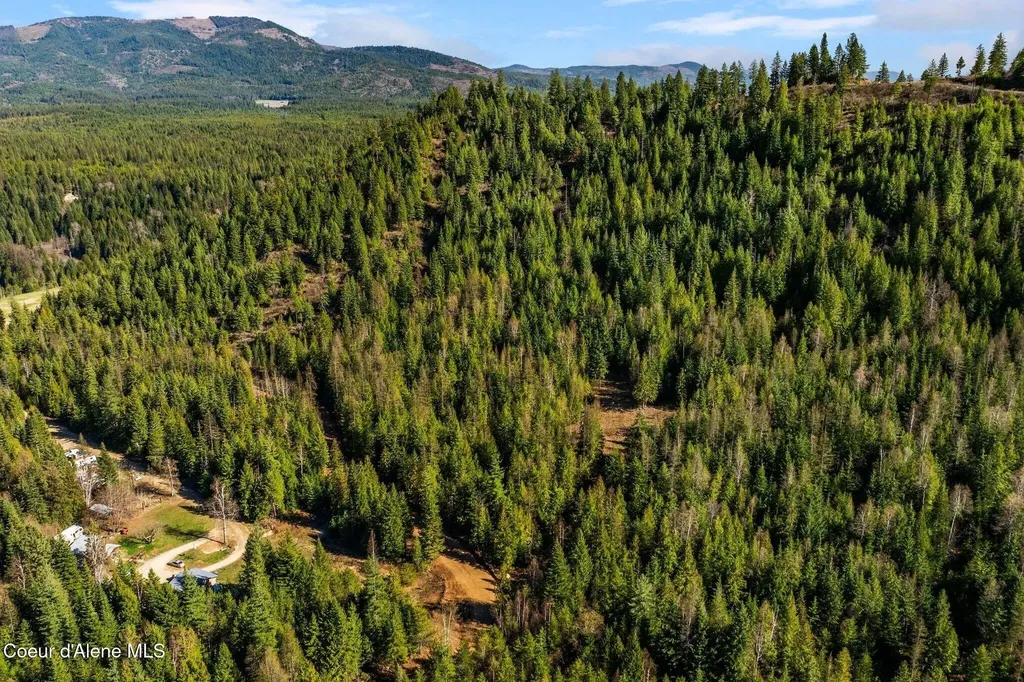Lot 2 Cedar Acres Priest River ID 83856