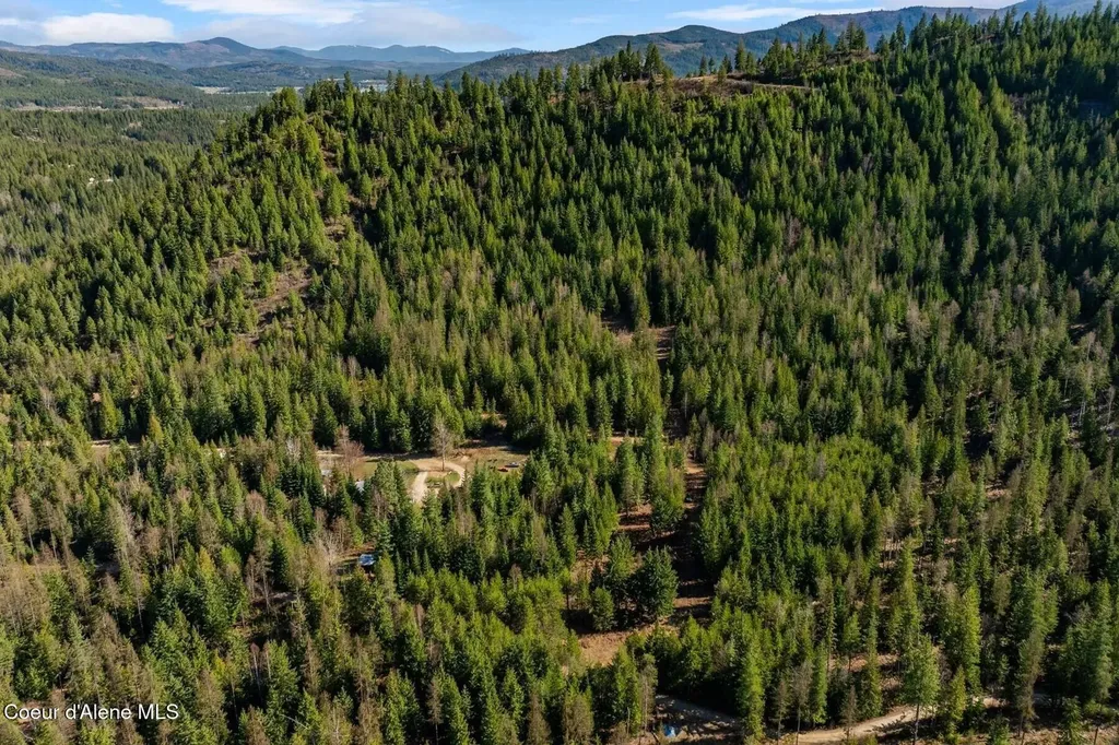 Lot 3 Cedar Acres Priest River ID 83856