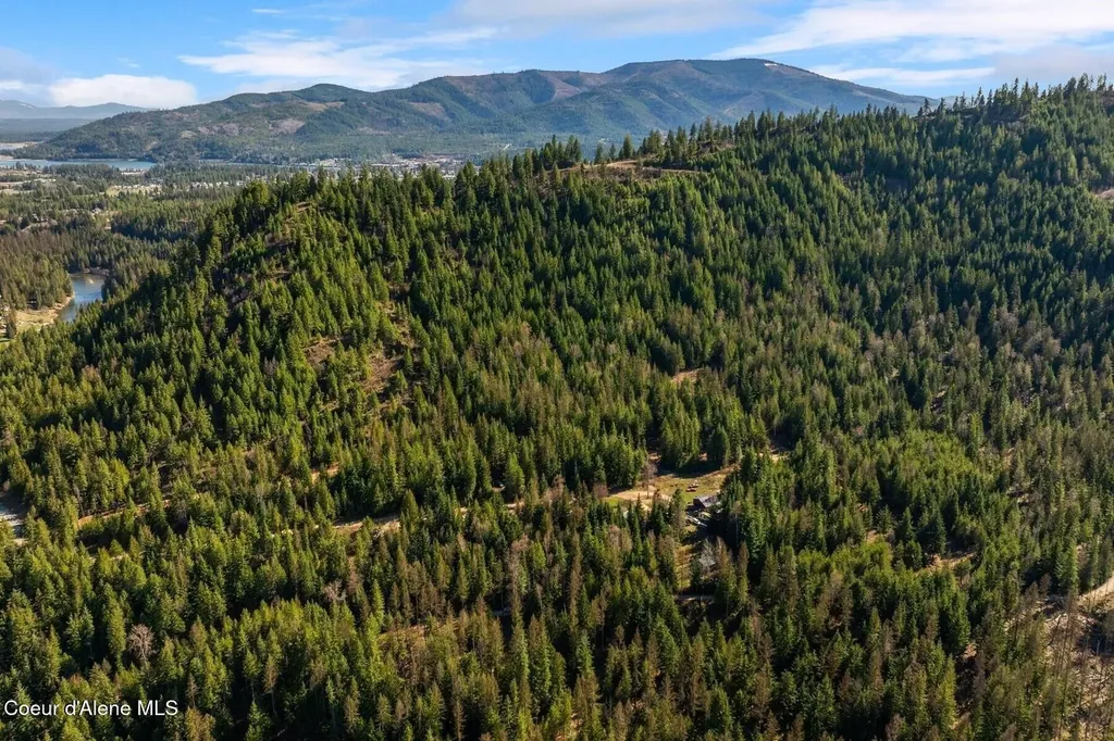 Lot 3 Cedar Acres Priest River ID 83856