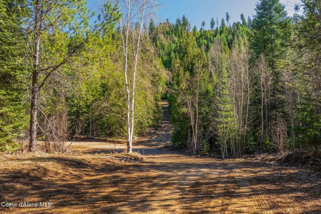 Lot 1 Cedar Acres Priest River ID 83856