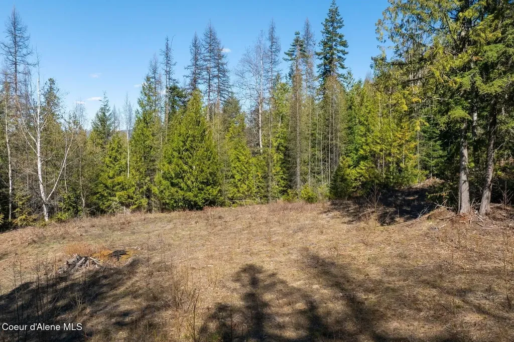 Lot 1 Cedar Acres Priest River ID 83856