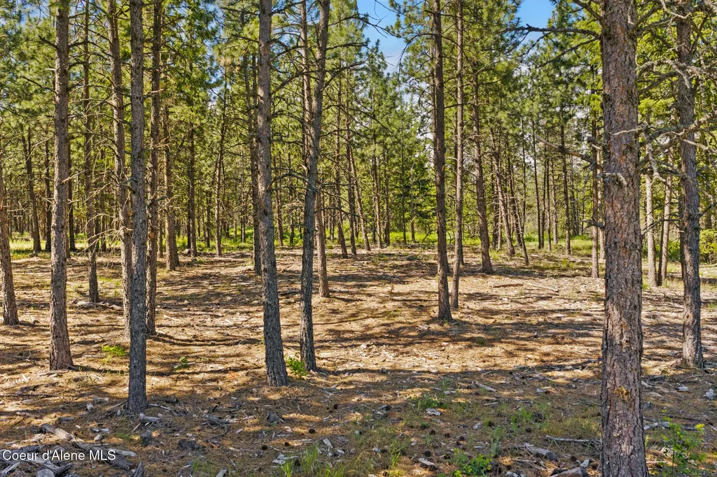 Nka E Rookery Road Hayden ID 83835