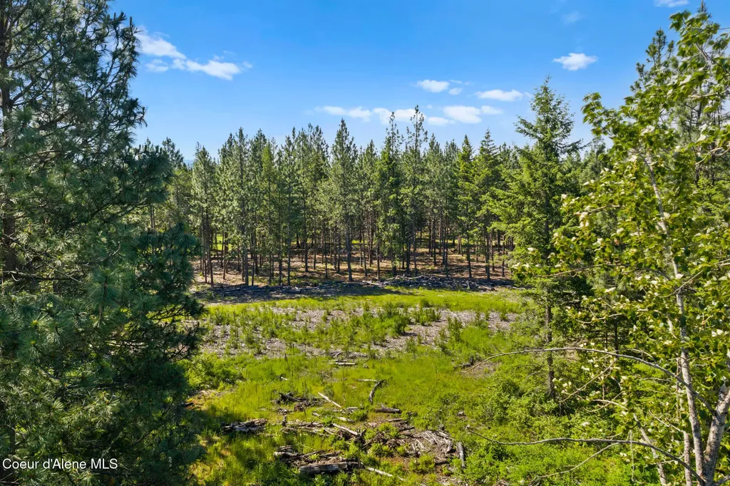 Nka E Rookery Road Hayden ID 83835