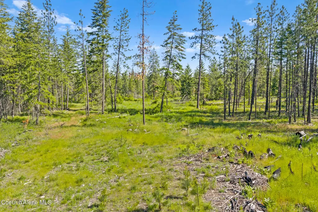 Nka E Rookery Road Hayden ID 83835