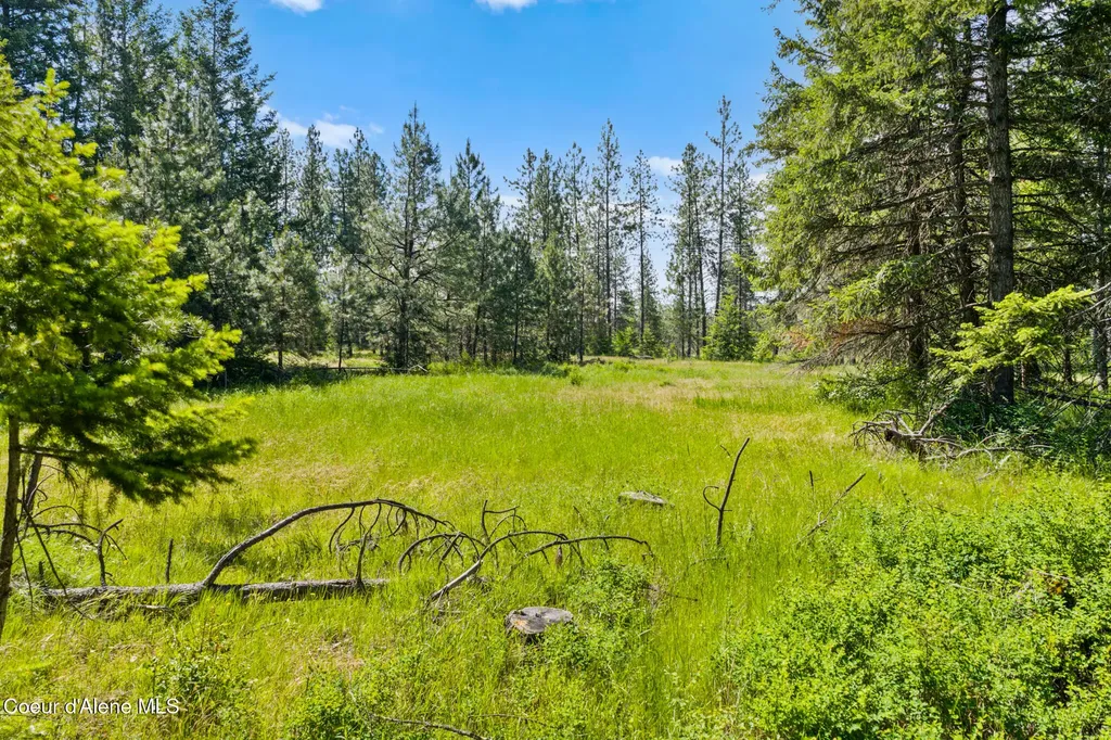 Nka E Rookery Road Hayden ID 83835
