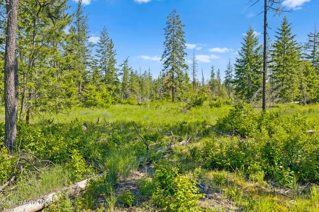 Nka E Rookery Road Hayden ID 83835