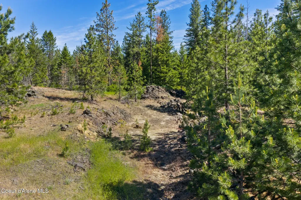 Nka E Rookery Road Hayden ID 83835