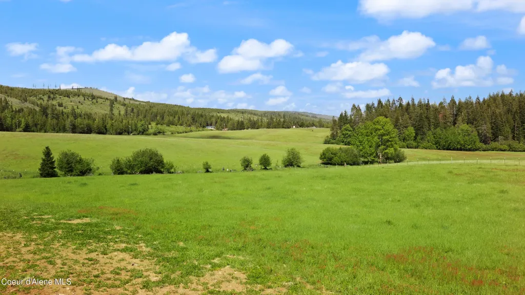 88 Alder Creek Loop Road St. Maries ID 83861