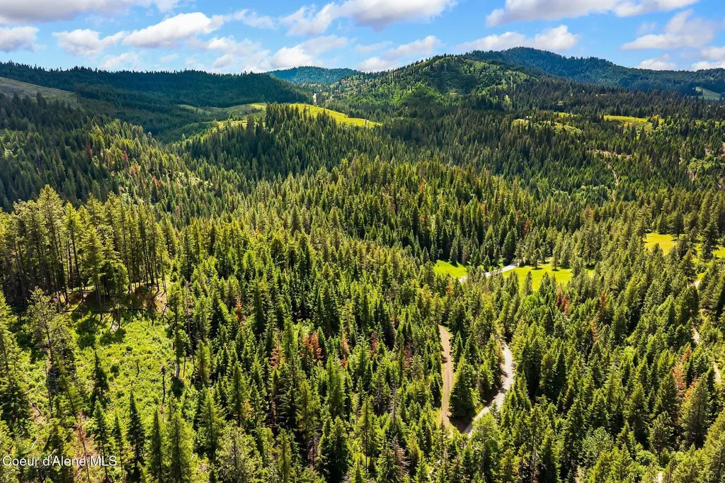 4304 S Elk Road Harrison ID 83833