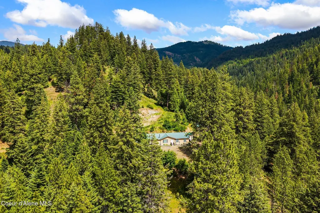 4304 S Elk Road Harrison ID 83833