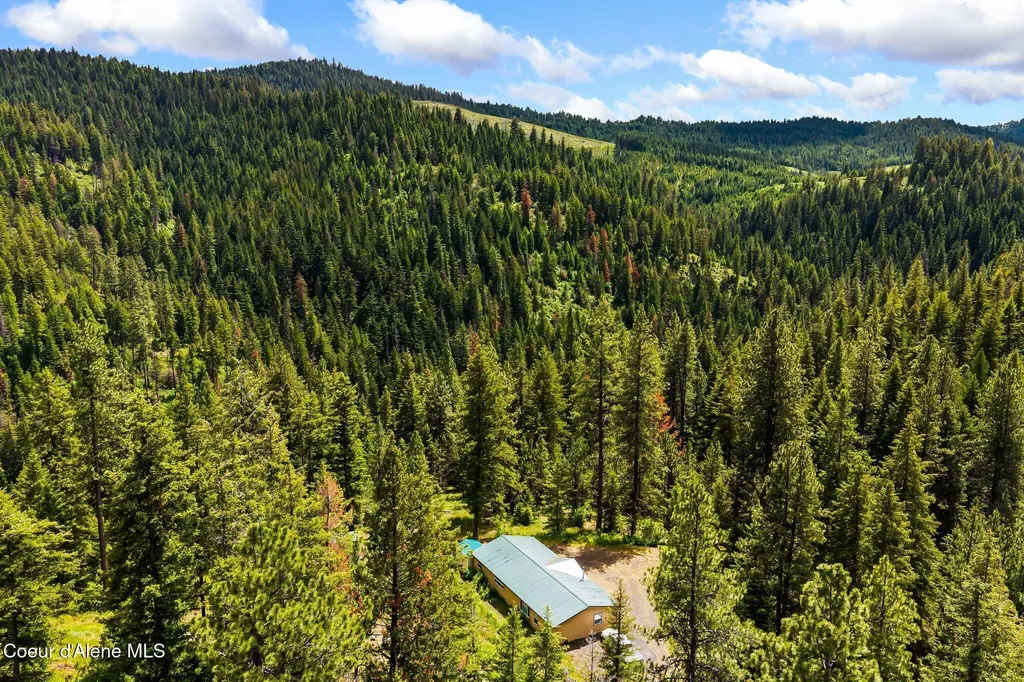 4304 S Elk Road Harrison ID 83833