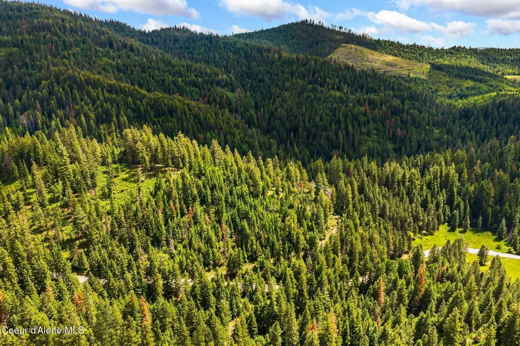 4304 S Elk Road Harrison ID 83833