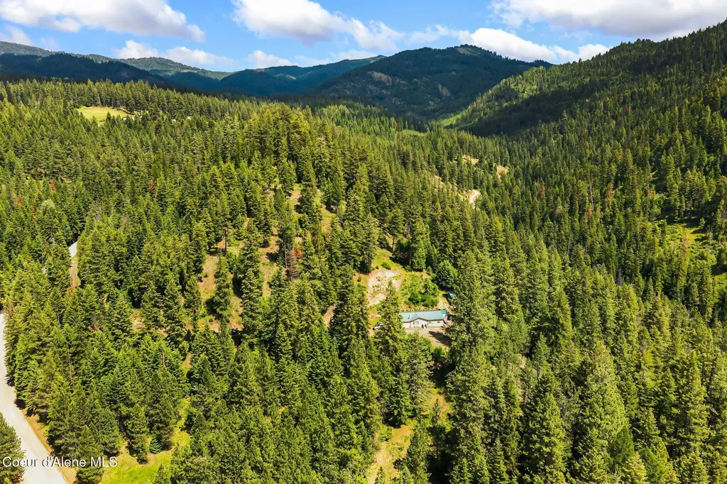 4304 S Elk Road Harrison ID 83833