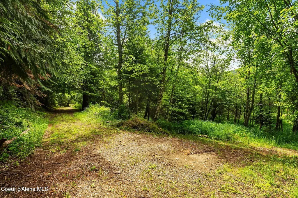 74 Eureka Road Sagle ID 83860