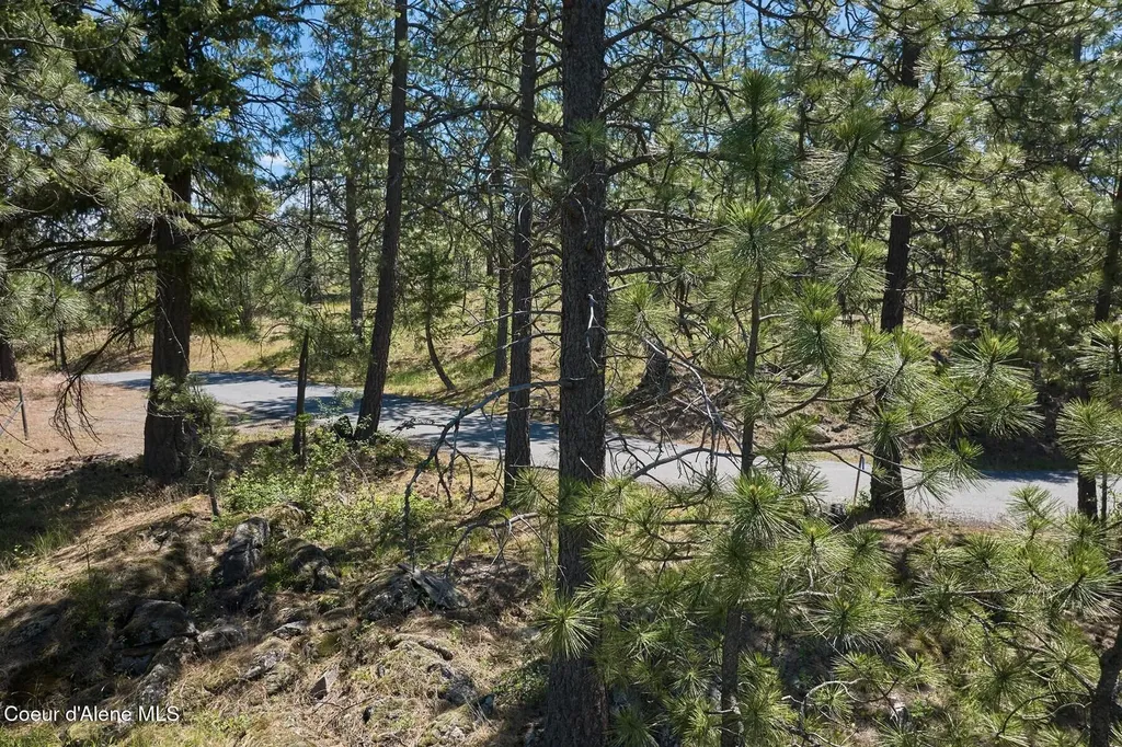 291 S. Simonsen Road Post Falls ID 83854