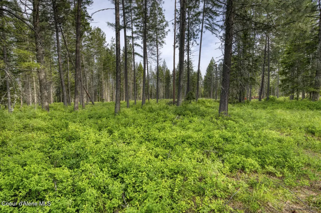 Nna Holmes Road Lot 1 Bonners Ferry ID 83805
