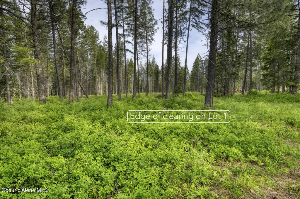 Nna Holmes Road Lot 1 Bonners Ferry ID 83805