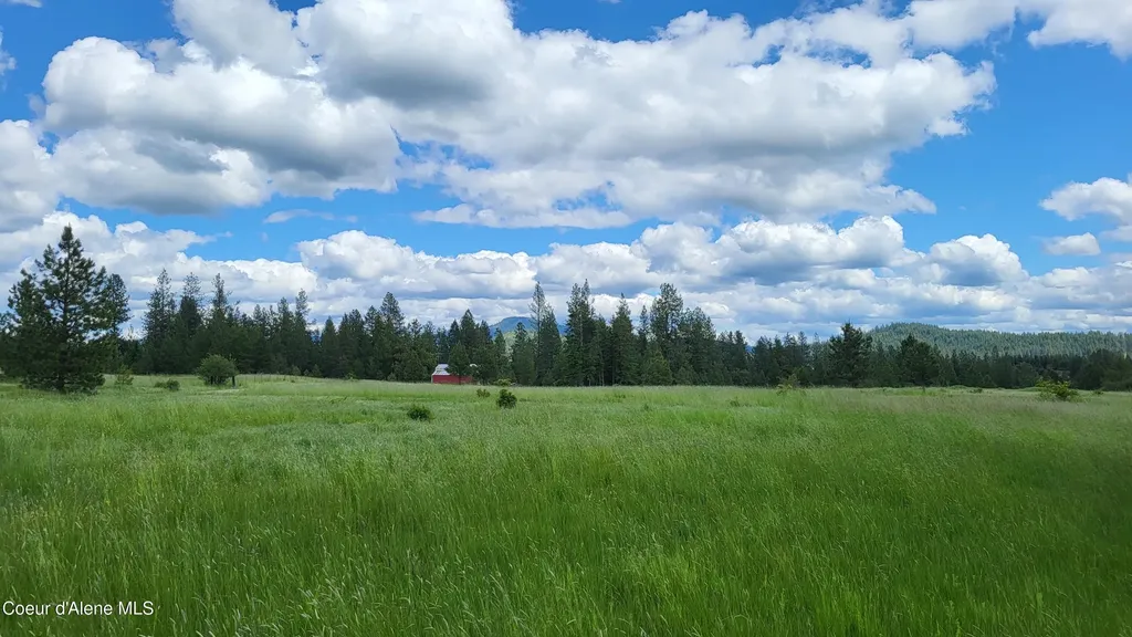 6202 E Wood Lane Harrison ID 83833
