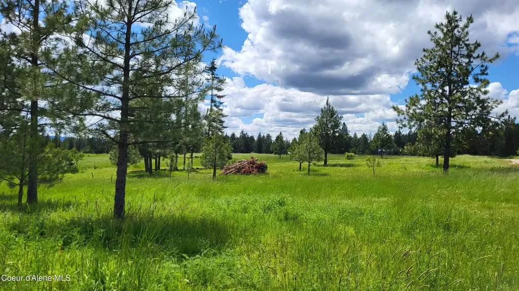 6202 E Wood Lane Harrison ID 83833