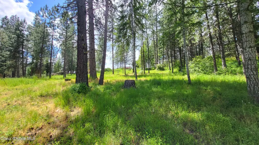 6202 E Wood Lane Harrison ID 83833