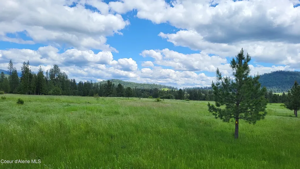 6202 E Wood Lane Harrison ID 83833