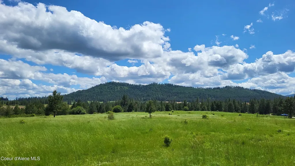 6202 E Wood Lane Harrison ID 83833