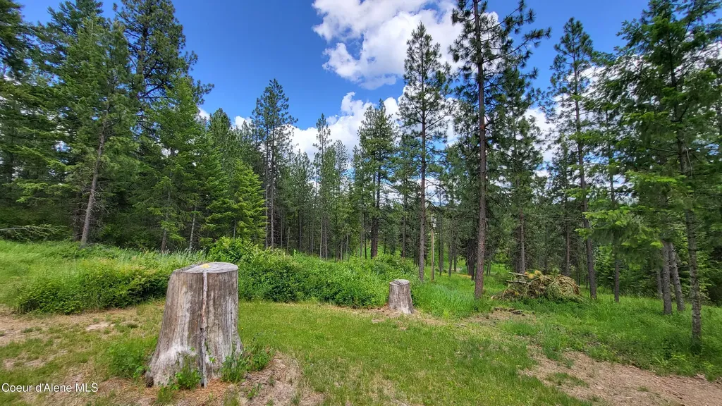 6202 E Wood Lane Harrison ID 83833