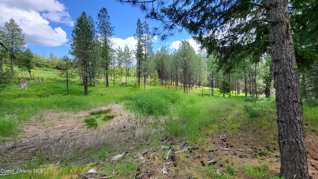 6202 E Wood Lane Harrison ID 83833