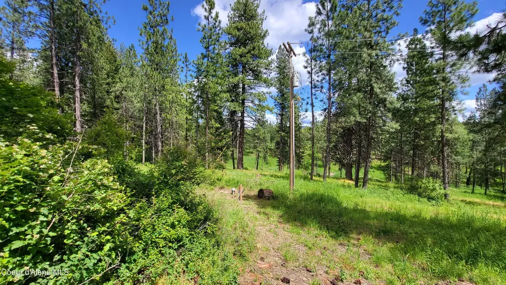 6202 E Wood Lane Harrison ID 83833
