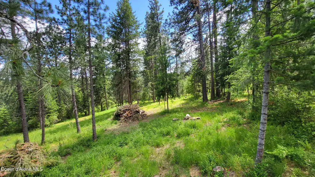 6202 E Wood Lane Harrison ID 83833