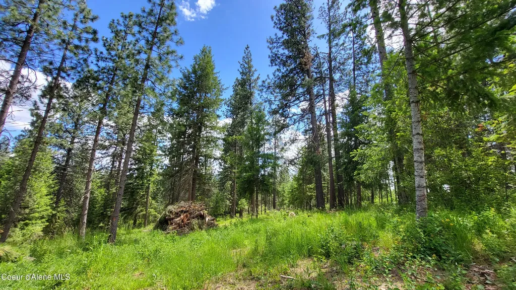 6202 E Wood Lane Harrison ID 83833