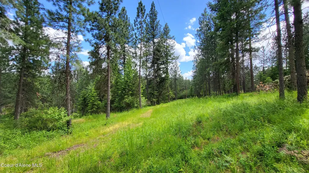 6202 E Wood Lane Harrison ID 83833