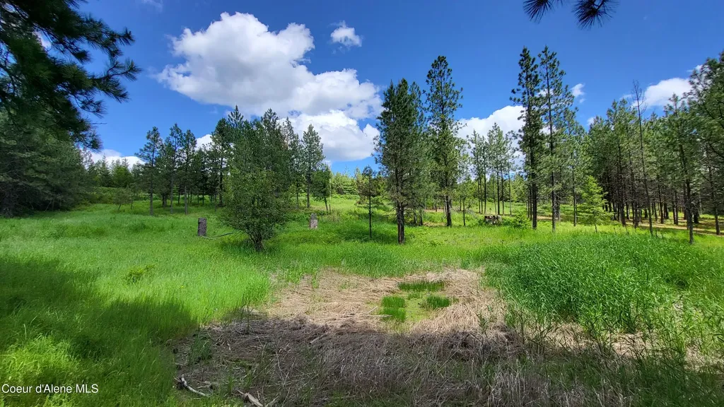 6202 E Wood Lane Harrison ID 83833