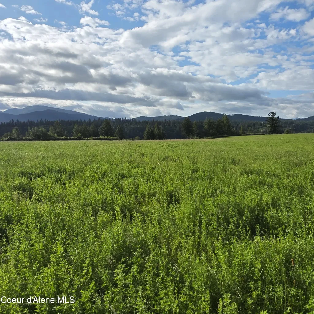 Nka 3 Sunrise Drive Harrison ID 83833