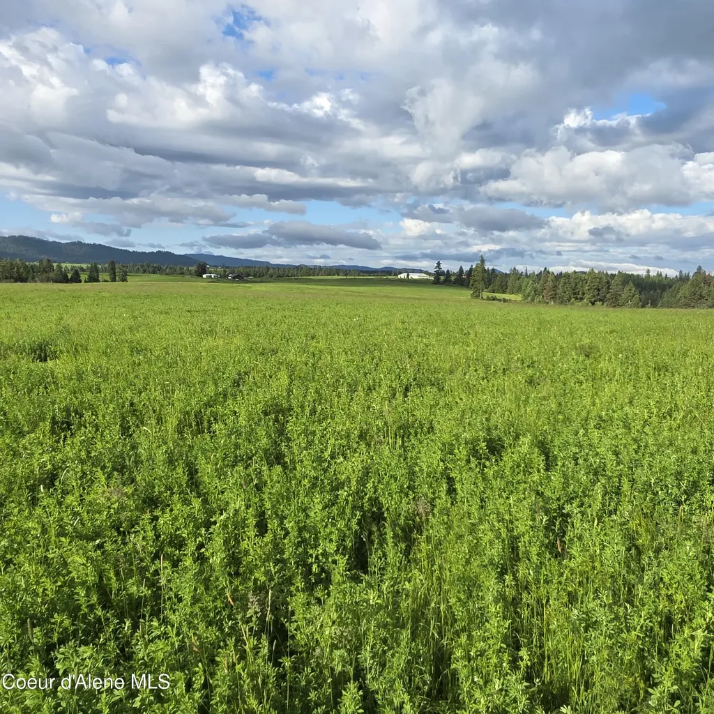 Nka 3 Sunrise Drive Harrison ID 83833