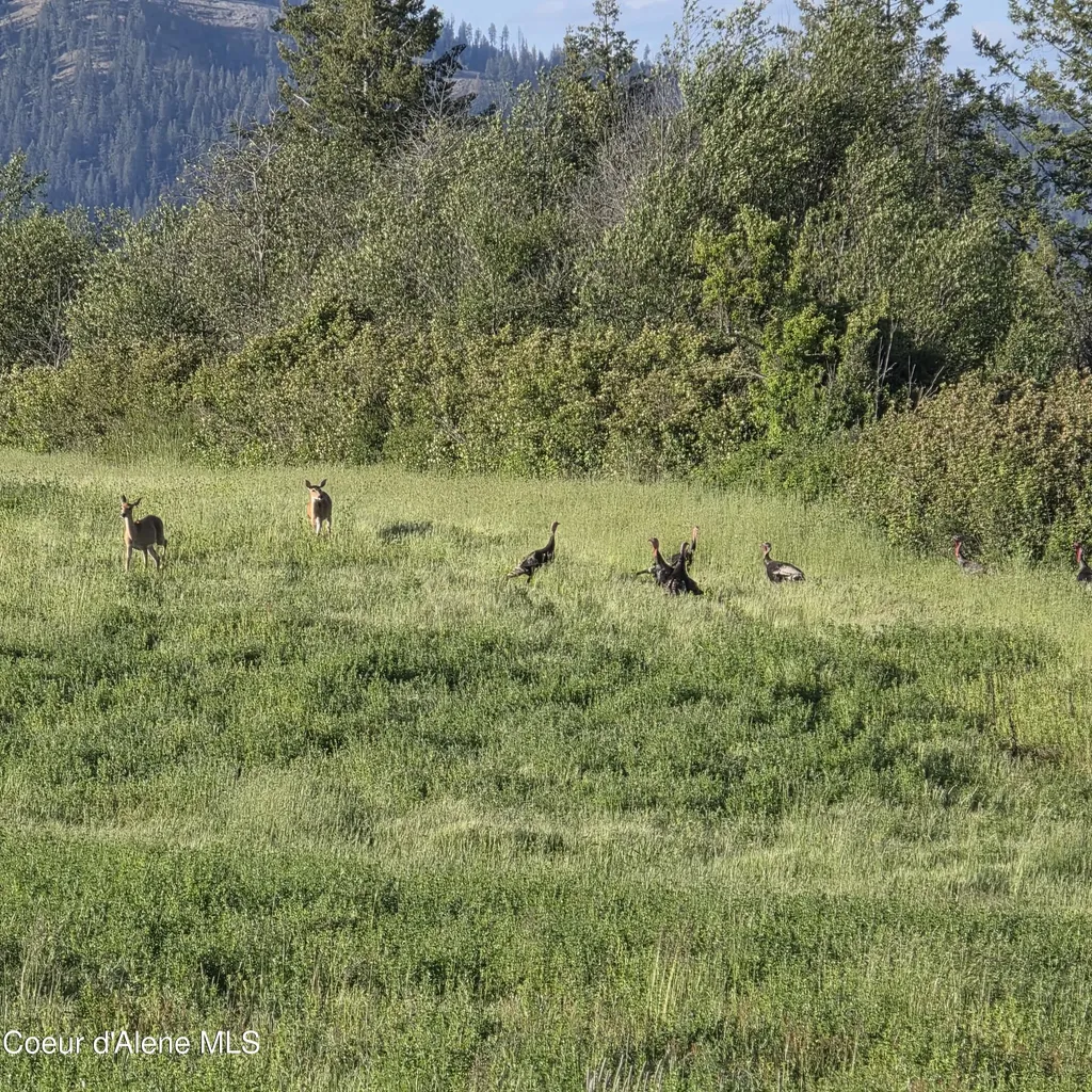 Nka 3 Sunrise Drive Harrison ID 83833