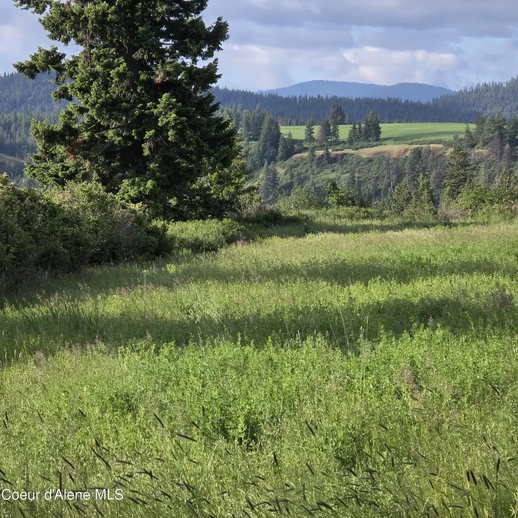 Nka 3 Sunrise Drive Harrison ID 83833