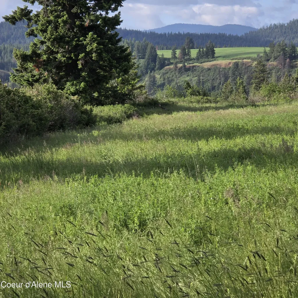 Nka 3 Sunrise Drive Harrison ID 83833