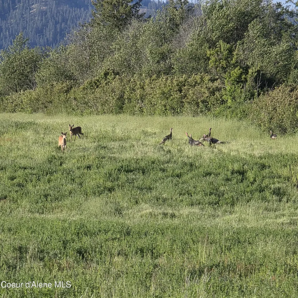 Nka 3 Sunrise Drive Harrison ID 83833