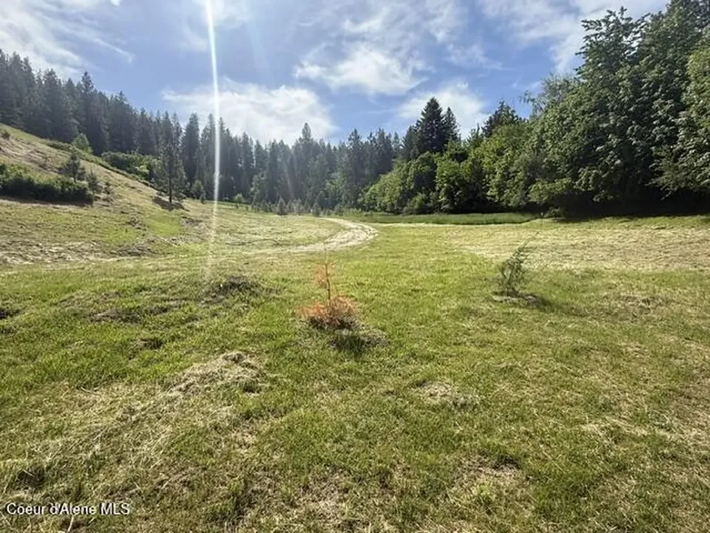 6855 Cemetery Road Bonners Ferry ID 83805