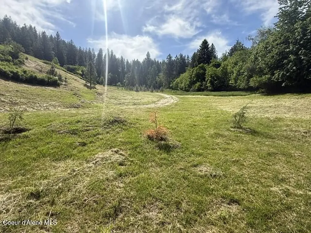 6855 Cemetery Road Bonners Ferry ID 83805