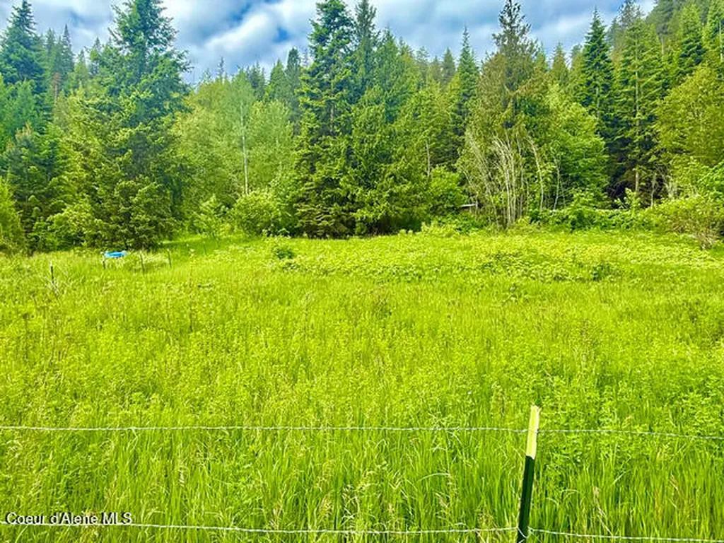 2868 Pine Island Road Bonners Ferry ID 83805