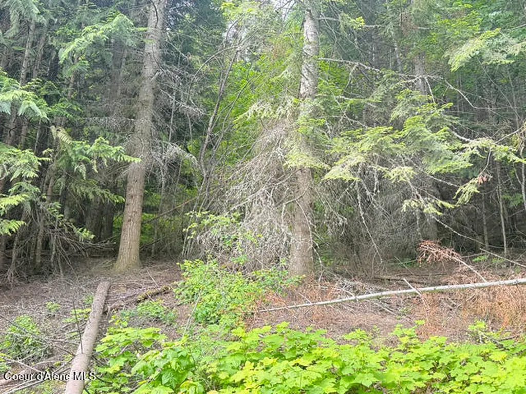 2868 Pine Island Road Bonners Ferry ID 83805