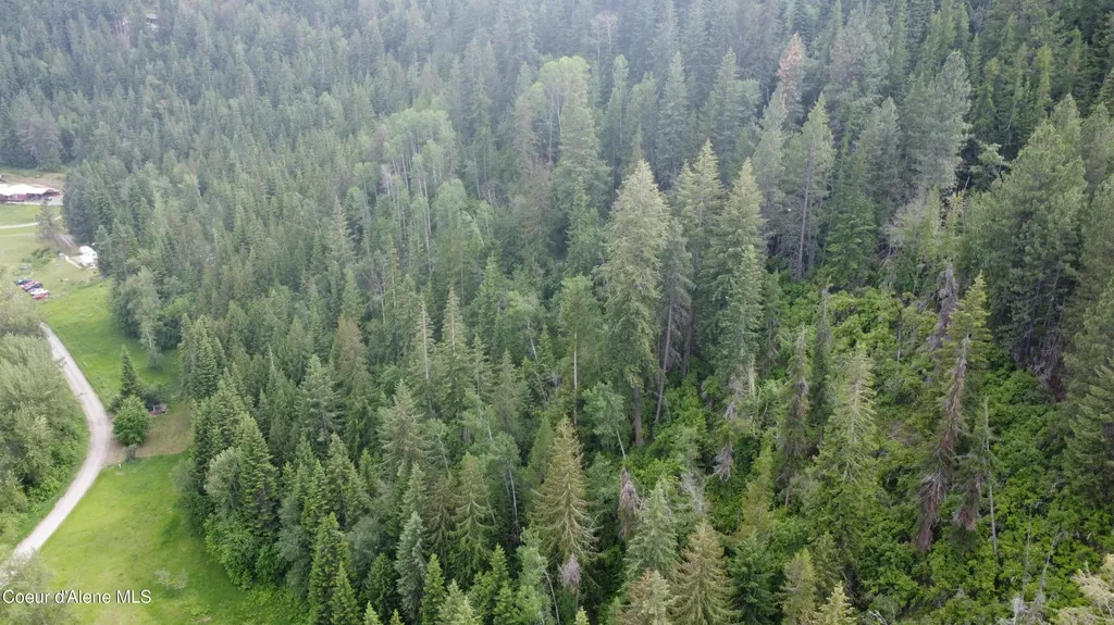 2868 Pine Island Road Bonners Ferry ID 83805