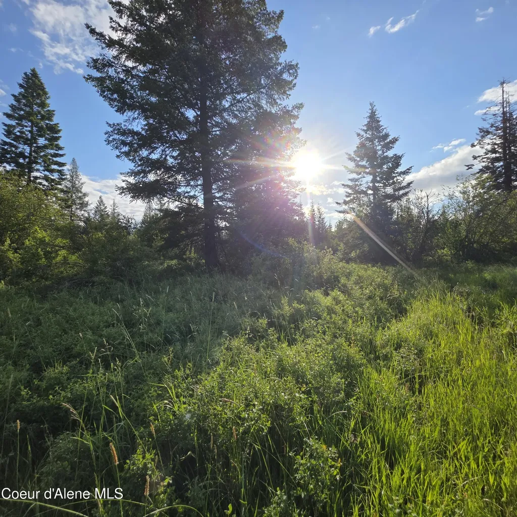 Nka 2 Sunrise Drive Harrison ID 83833